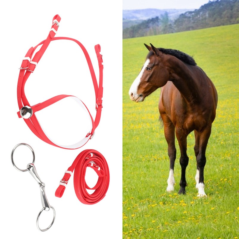 PVC Adjustable Horse Bridle Rein Harness Headstalls Removable Stainless Steel