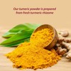 Himalayan Chef Turmeric Powder Shaker-5.82 Oz