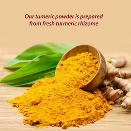 Himalayan Chef Turmeric Powder Shaker-5.82 Oz