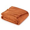 Bedsure Fleece Throw Blanket for Sofa - Soft Cosy Fluffy