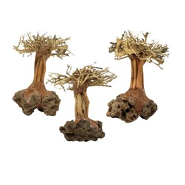 3-Pack Bonsai Driftwood Aquarium Trees on Rock 3RS (4" Height) – Handcrafted Natural Fish Tank Decoration | Balances Water pH, Stabilizes Environment | Easy to Install