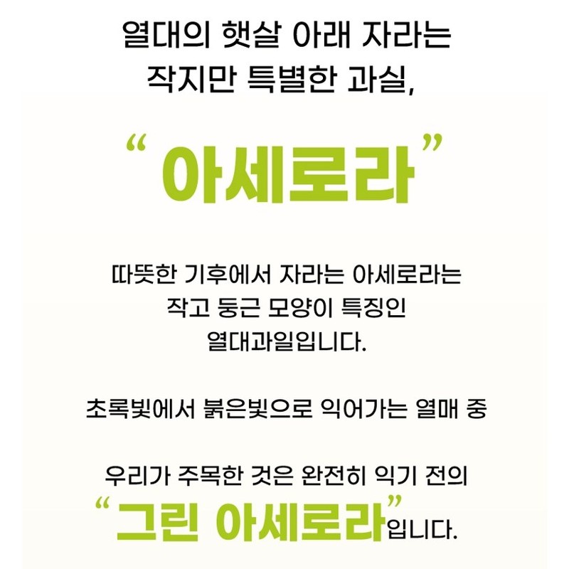 그린 아세로라 추출 분말 비타민c 100%, 100g, 6개 Green Acerola