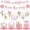 JoyAura Wildflowers Baby Shower Decorations - 14 Pcs A Little