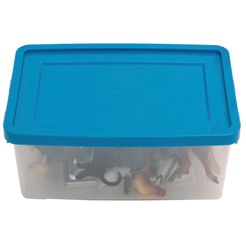 Betzold - Assigning Animals - Order Game Basic School