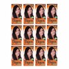 BIGEN Pack de 12 tintes marca bigen polvo tono,"bp castano
