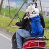 Woolala Light Weight Pet Carrier Backpack for Small and Medium