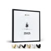 Heimlich® 1 x Picture Frame, 25 x 25 cm, Black
