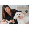 7.0-Inch Curved Thinning Shears for Dog Grooming – Stainless Steel