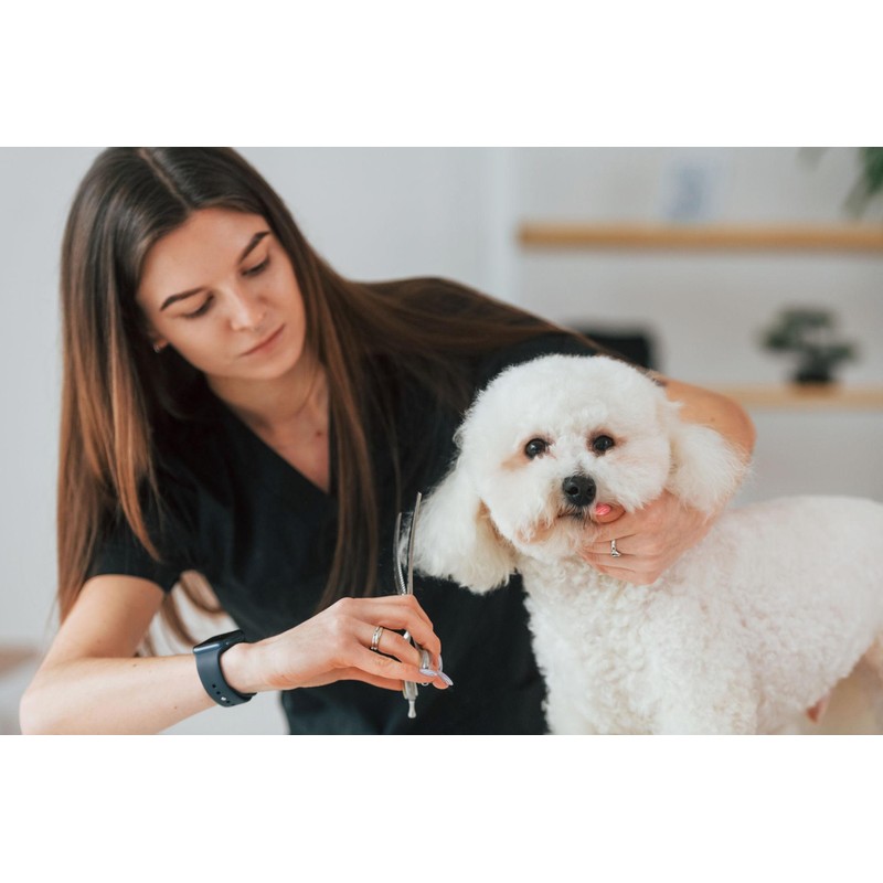 7.0-Inch Curved Thinning Shears for Dog Grooming – Stainless Steel