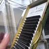 Individual lashes Lady Lashes - EASY FANNING self fanning lashes