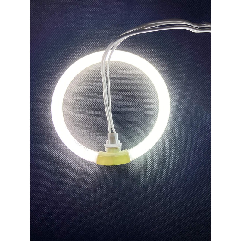Konideke 5.5 Inch Outside Diameter,T4 12W 6400K Circular Fluorescent Bulb,Replacement