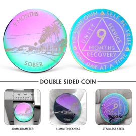 9 Months Sobriety Chip Colorful AA Coin Recovery Medallions One Day at A Time Sober Token Nine Months Sobriety Gifts for Men Women Alcoholics Anonymous Gifts