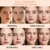 2Pcs Liquid Concealer Makeup, Brightening Dark Circle Eye Concealer, Reduces