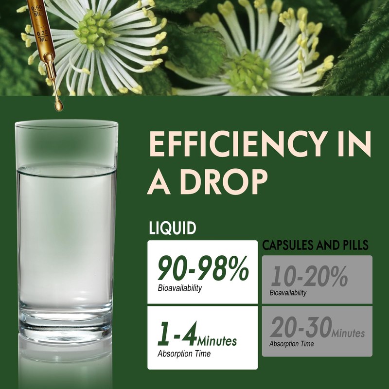 Goldenseal Root Extract Drops for Immune & Respiratory Support 2oz