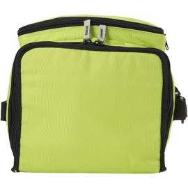 Foldable Cooler Bag