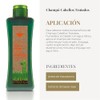 Salerm Biokera Natura Treated Hair Shampoo for Unisex, 10.8 Ounce