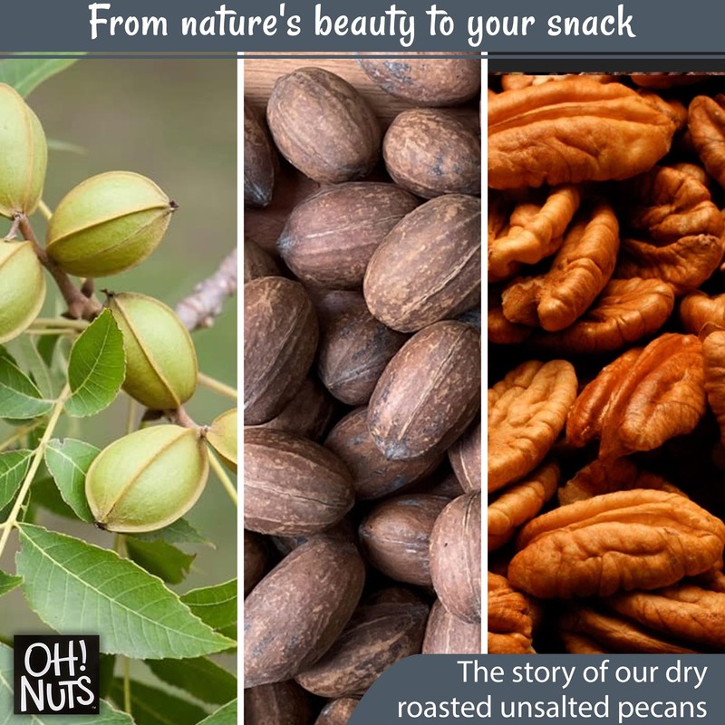 Pecans Dry Roasted Unsalted | Kosher, Oil-Free, All Natural Pecans