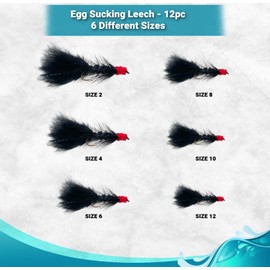 Feeder Creek 12pc Egg Sucking Leech Fly Fishing Streamers Perfect for Salmon, Steelhead, and Other Freshwater Fish (Black, 12)