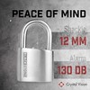 Crystal Vision Anti-Theft Loud 130db Alarm Lock Weather Proof Heavy