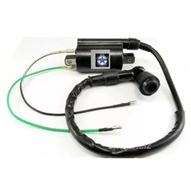 Unbranded Ignition Coil For Suzuki GT125 GT185 GT250 T250 T305 TC305 T350 T500 12V