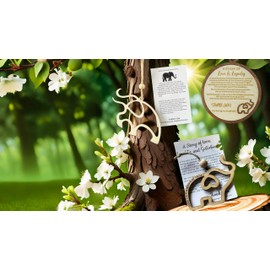 YANXIN1E 4PACKS Unique & Aesthetic Monstera Leaf Shape Grapple Plant Support, Grappler Rings, Plant Support Monstera with Ties, Keeps Plants Tame & Growing Vertical (Transparent)