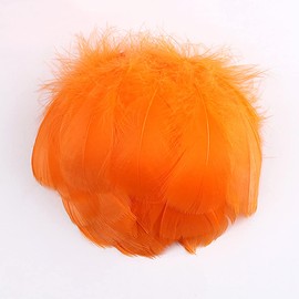 Pack of 100 Colourful Feathers for Crafts, Natural Feathers, Goose Feathers, Indian Craft Feathers for DIY Artwork, Masks, Hats, Earrings, Hair Accessories, Dream Catcher, Wedding, Carnival, Party