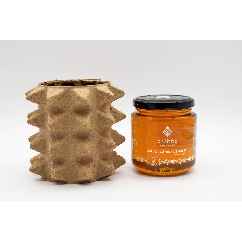 Miel de abeja Chabtic 100% orgánica, Chiapas México - 290g
