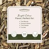 Starwest Botanicals Organic Lemongrass - Dried Loose Leaf Herb for