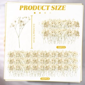 Fumete 200 Pcs Mini Dried Baby Breath Flowers Christmas Ivory Natural Flowers Bulk Gypsophila Dried Flower for Vase Wedding Invitation Card DIY Candle Making Decor Craft Party Resin Art 2-4 in