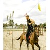 Telescopic Equestrian Training Flag Kit for Horse Training – Red
