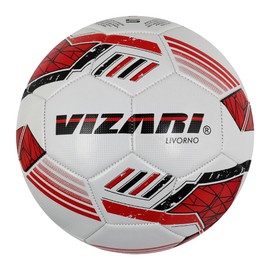 Vizari Soccer Ball - 32-Panel TPU Design for Youth, Kids, and Toddlers - Ideal for Training, Matches & Outdoor Football Games (Pack of 1,6 & 12)
