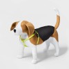 Boots & Barkley LED Rechargeable Dog Harness - XL - Vibrant Green - Boots & Barkley™