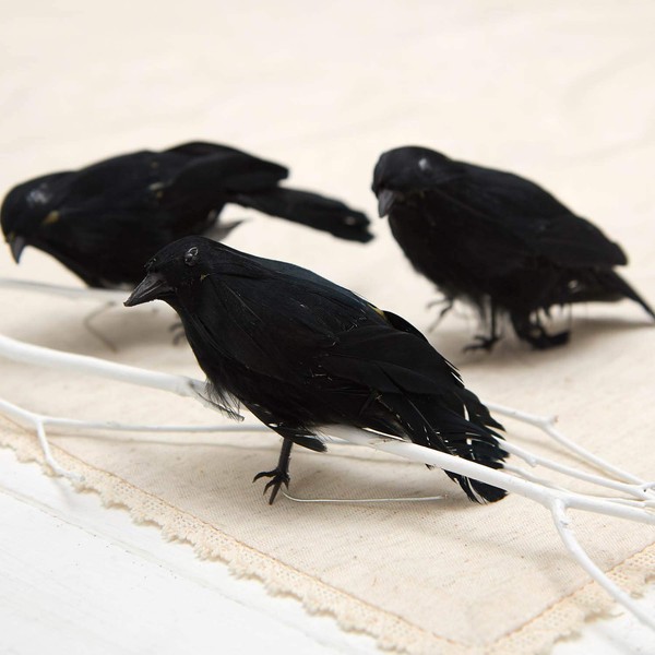 Package of 12 Black Feather Crow Birds for Halloween Decorating,