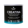 VALARA Creatina Monohidratada Máxima Pureza Sin Sabor Sin Azúcar (250gr)
