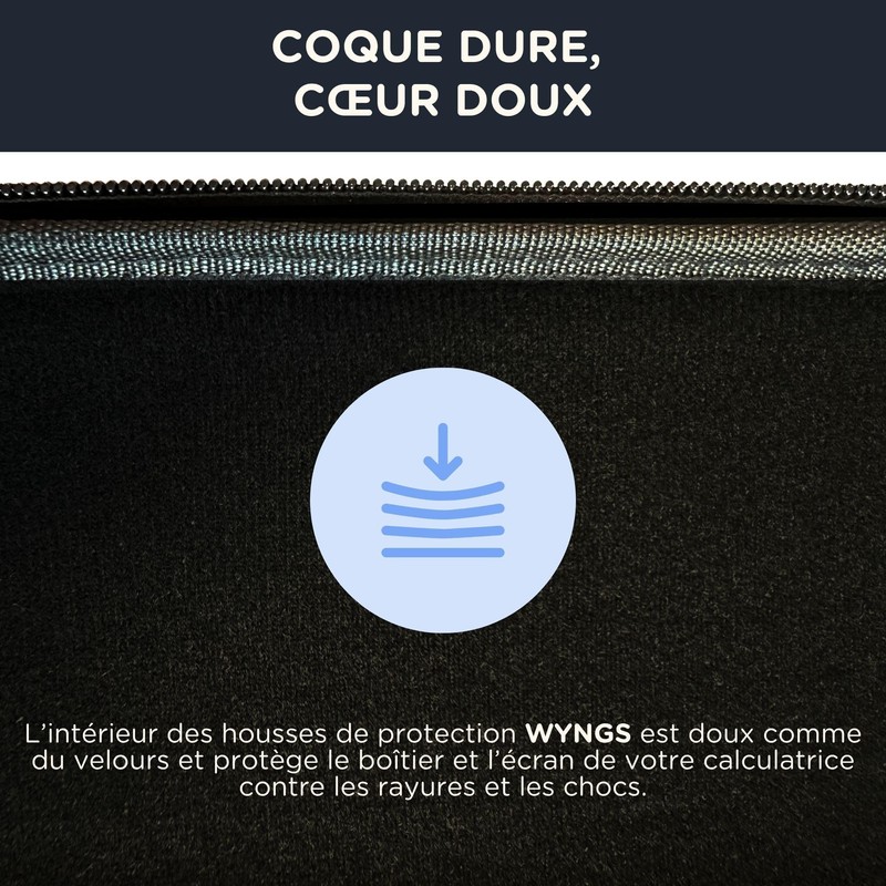 P-WYNGS case-new