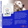 Pet Urinary Support Complex 120 Chicken Flavour Tablets for Cats