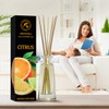 Citrus Reed Diffuser 3.4 Fl Oz (100ml) Room - Fragrance