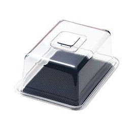 Tree-Lined Industrial Clear raburi-hatto Corners in Black MT – 1121