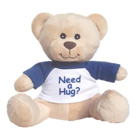 Hug-a-BooBoo Super Cute and Cuddly 6 Inch Plush Mini Teddy Bear from (Need a Hug? Blue T-Shirt Teddy Bear)