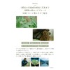 N organic Scalp Hair Care Series (Shuntre)