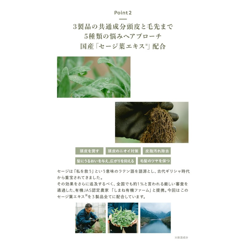 N organic Scalp Hair Care Series (Shuntre)