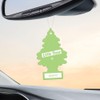 LITTLE TREES Car Air Freshener Hanging Paper Tree for Home