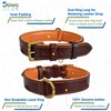 DowgClub DowgClub Leather Dog Collar | Dog Collar for Large