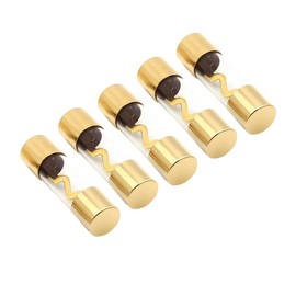 Sandfren Car Audio AGU Fuse, 5PCS 100A Gold Plated Glass Inline Vehicle Audio Fuses, Automotive Stereo Amplifier Power Safety Protection Accessories, Universal for SUV RV Truck
