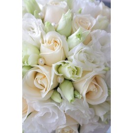 Wedding Day Type Premium Fragrance Oil, 16 Oz. Bottle