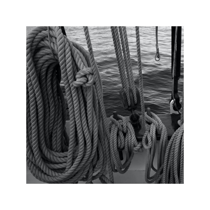 Rope & Cord 12-Strand DYMAX Rope | Gray | 10,