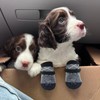 2 pcs Double Side Anti Slip Dog Socks,Paws Stop Licking