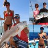Burning Shark Towing Reel Salt Spirit Level Wind Rollers Boat