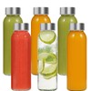 Danmu Glass Juice Bottles with Lids 12 oz,Juicing Bottles Reusable