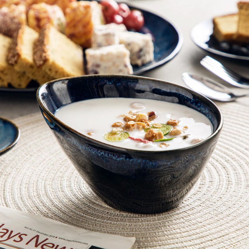 vancasso STARRY 11-Piece Dinnerware Set Stoneware Reactive Glazed Plate Bowl